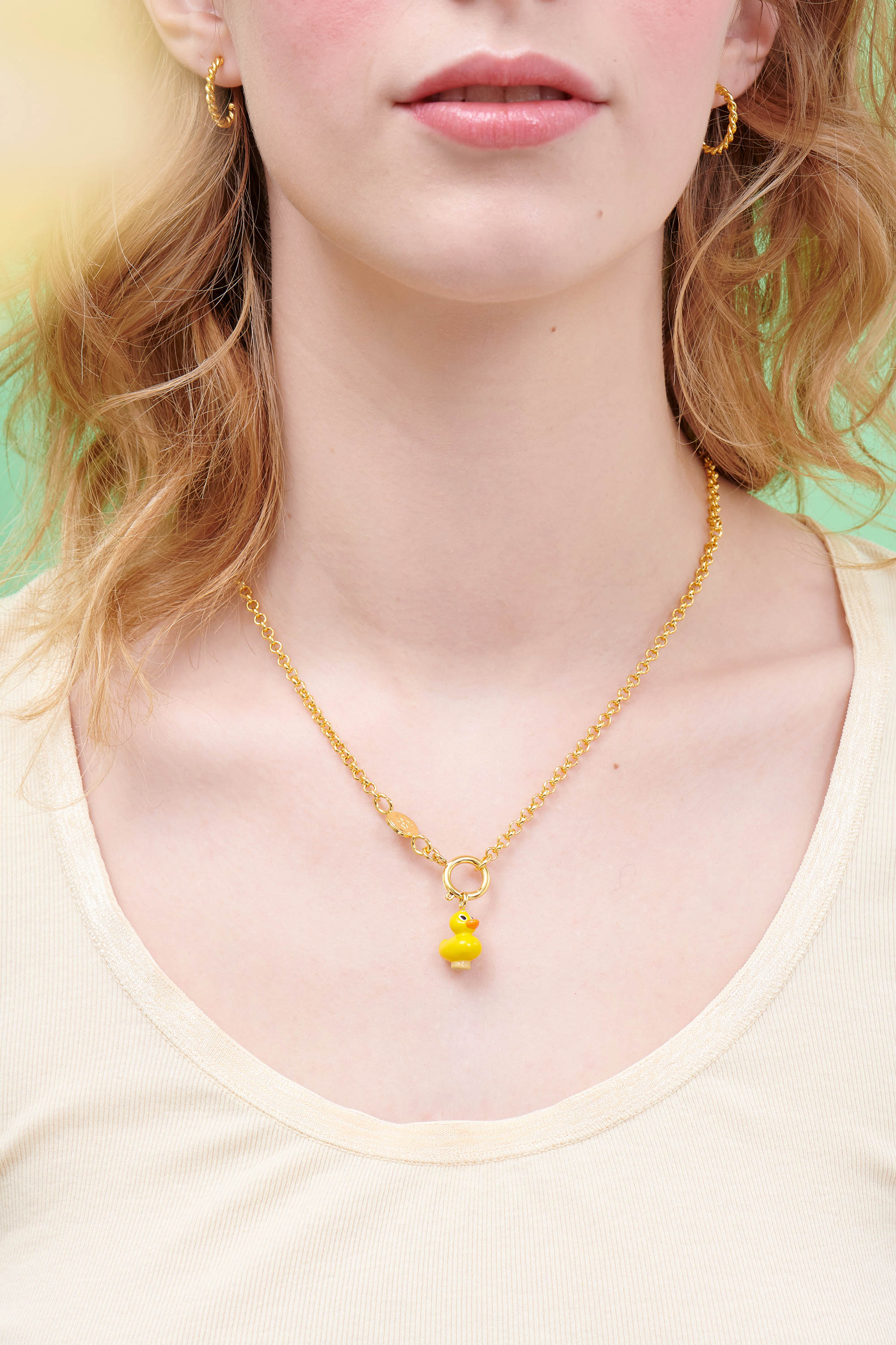 Charm's canard - Image 2