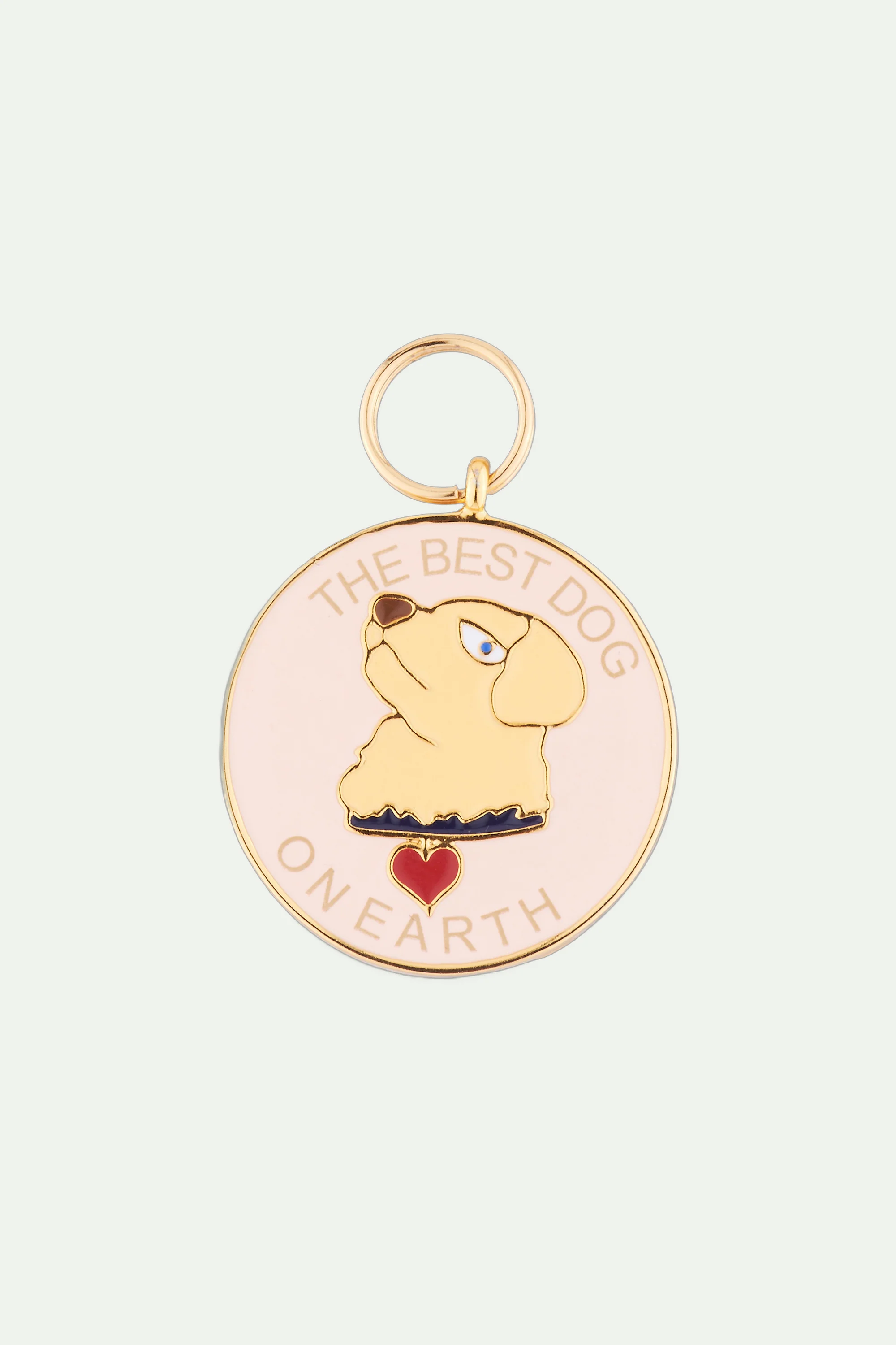Médaille pour animal le meilleur chien de la terre
